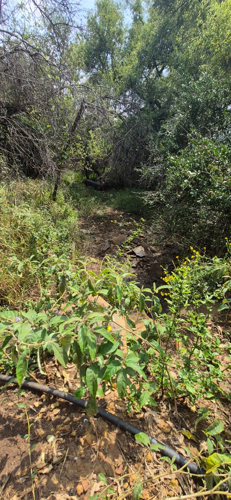 0 Bedroom Property for Sale in Koster North West